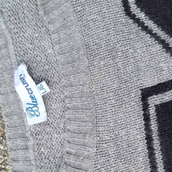 ✅️3/$40 BLUE CRUSH boxy sweater - Picture 2 of 8
